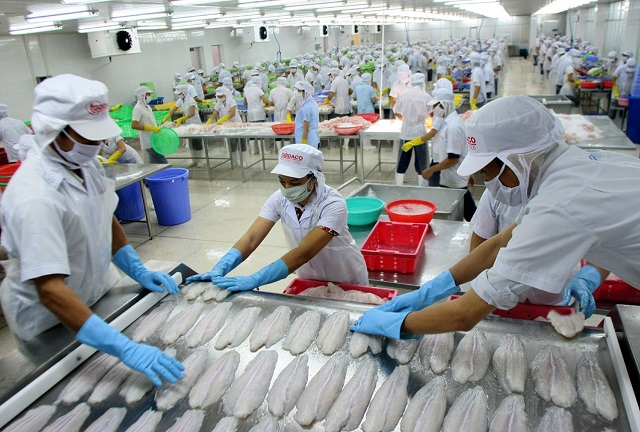 Переработка морепродуктов для экспорта в компании Godaco в провинции Тиен Джанг. Фото: Вьет Хунг